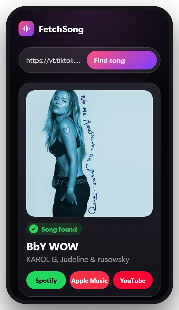 Step 3 on TikTok: Paste it here and tap Find song