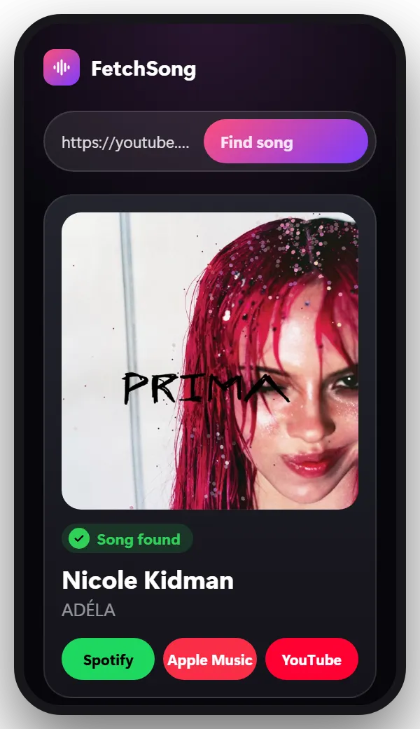 Step 3 on YouTube: Paste it here and tap Find song
