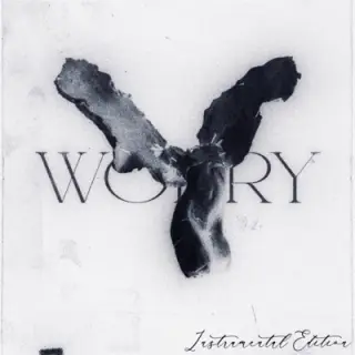 worry (Instrumental Slowed) cover art